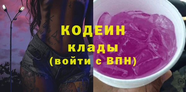 индика Михайловка