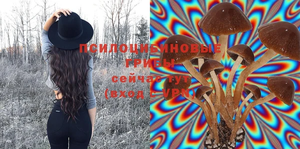 MDMA Богданович